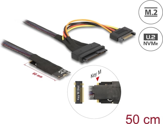 Picture of Delock M.2 Key M to U.2 SFF-8639 NVMe Adapter with 50 cm cable