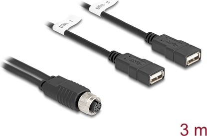 Picture of Delock M12 Cable A-coded 8 pin female to 2 x USB 2.0 Type-A female 3 m black