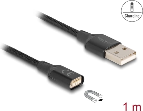 Picture of Delock Magnetic USB Charging Cable black 1 m