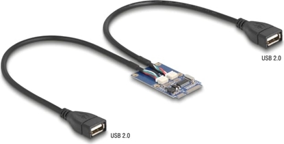 Picture of Delock Mini PCIe Adapter full size to 2 x USB 2.0 Type-A female 30 cm