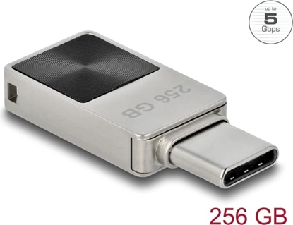 Picture of Delock Mini USB 5 Gbps USB-C™ Memory Stick 256 GB - Metal Housing