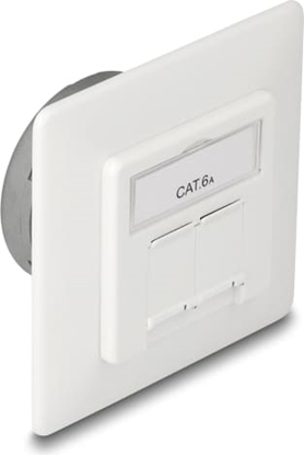 Picture of Delock Modular Wall Outlet flush mount 2 Port RJ45 Cat.6A LSA