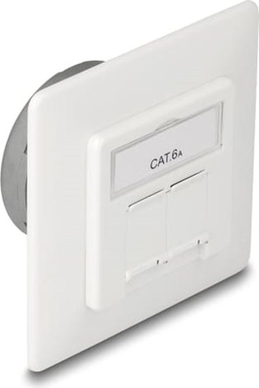 Picture of Delock Modular Wall Outlet flush mount 2 Port RJ45 Cat.6A LSA