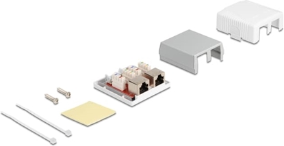 Picture of Delock Network Wall Outlet 2 Port Cat.6A LSA