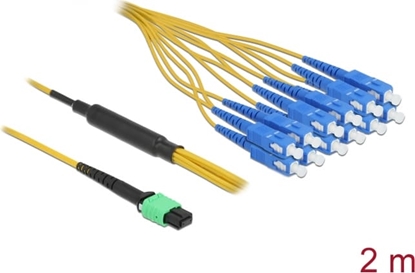 Picture of Delock Optical Fiber Cable MPO female to 12 x SC Simplex male, Single-mode, 9/125 µm, 2 m