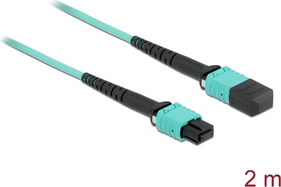 Picture of Delock Optical Fiber Cable MPO female to MPO female 12 fibers, polarity A, multi-mode OM4, 50/125 µm, 2 m