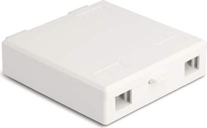 Picture of Delock Optical Fiber Connection Box for wall mounting for 2 x SC Simplex or LC Duplex white