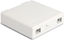 Picture of Delock Optical Fiber Connection Box for wall mounting for 2 x SC Simplex or LC Duplex white