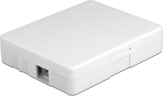 Picture of Delock Optical Fiber Connection Box for wall mounting for 2 x SC Simplex or LC Duplex white