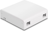 Picture of Delock Optical Fiber Connection Box for wall mounting for 2 x SC Simplex or LC Duplex white