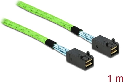Picture of Delock PCI Express Cable Mini SAS HD SFF-8673 to SFF-8673 1 m