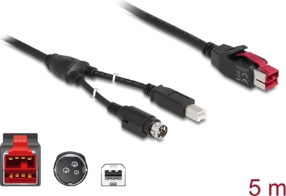 Picture of Delock PoweredUSB cable male 24 V > USB Type-B male + Hosiden Mini-DIN 3 pin male 5 m for POS printers and terminals