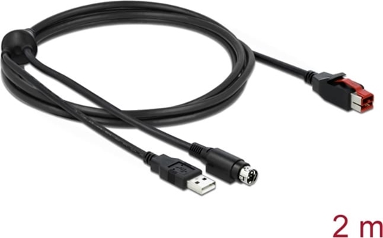 Picture of Delock PoweredUSB cable male 24 V to USB Type-A male + Mini-DIN 3 pin male 2 m for POS printers and terminals