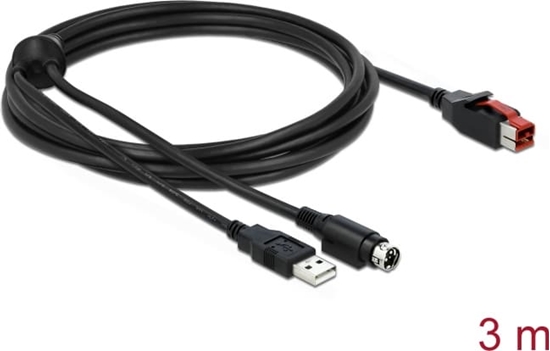 Picture of Delock PoweredUSB cable male 24 V to USB Type-A male + Mini-DIN 3 pin male 3 m for POS printers and terminals