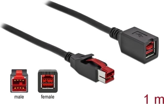 Picture of Delock PoweredUSB extension cable 24 V 1 m