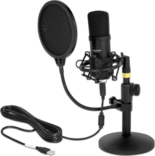 Picture of Delock Professional USB Condenser Microphone Set for Podcasting and Gaming