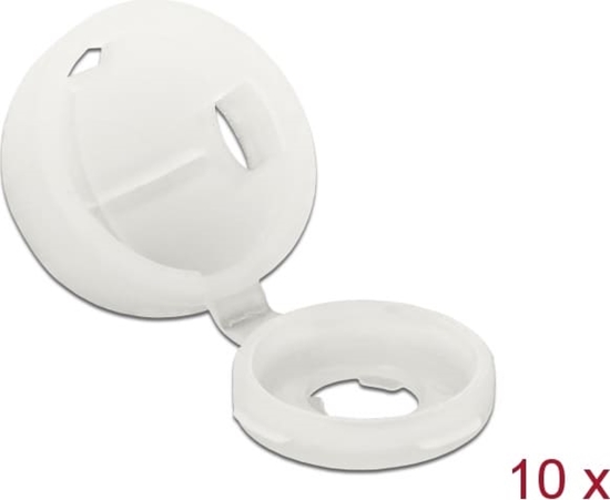 Picture of Delock Protective cap for screw M4 natural 10 pieces