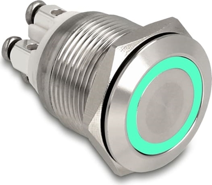 Attēls no Delock Push Button for Installation 19 mm 4 x Screw Terminal LED green