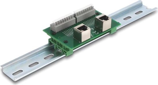 Picture of Delock RJ45 2 x female to 2 x Terminal Block with push-button for DIN rail angled