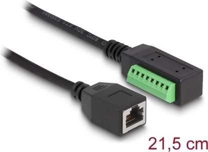 Picture of Delock RJ45 Cable Cat.5e jack to Terminal Block Adapter 21.5 cm