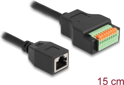 Picture of Delock RJ45 Cable Cat.5e jack to Terminal Block Adapter with push button 15 cm