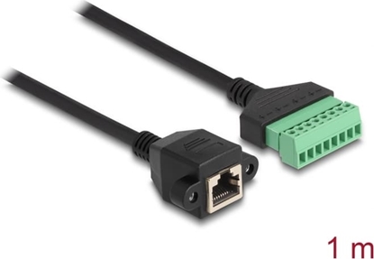 Picture of Delock RJ45 Cable Cat.6 female to Terminal Block Adapter for built-in 1 m 2-part