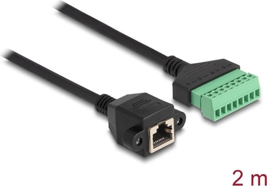 Picture of Delock RJ45 Cable Cat.6 female to Terminal Block Adapter for built-in 2 m 2-part