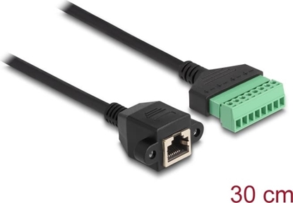Picture of Delock RJ45 Cable Cat.6 female to Terminal Block Adapter for built-in 30 cm 2-part