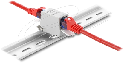 Attēls no Delock RJ45 Coupler Cat.6A jack to jack with dust protection cap for DIN rail mounting, shielded grey / white
