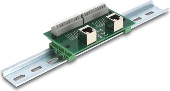 Picture of Delock RJ50 2 x female to 2 x Terminal Block with push-button for DIN rail angled