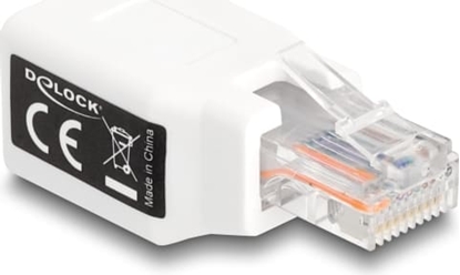 Attēls no Delock RJ50 Adapter male to female white