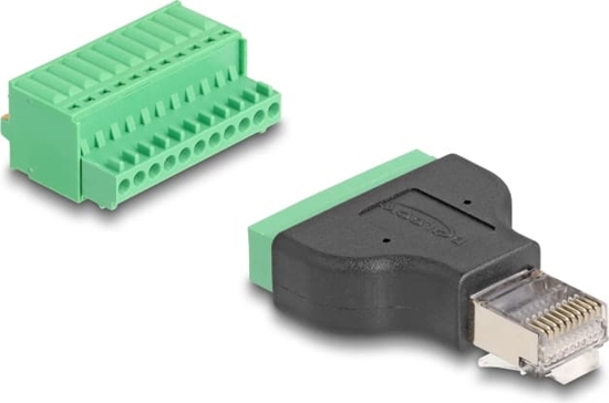 Picture of Delock RJ50 male to Terminal Block Adapter with push-button