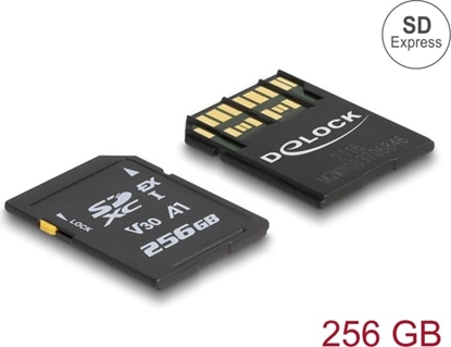 Picture of Delock SD Express memory card 256 GB
