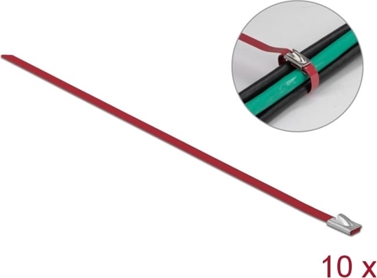 Picture of Delock Stainless Steel Cable Ties L 200 x W 4.6 mm red 10 pieces