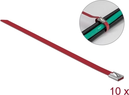 Attēls no Delock Stainless Steel Cable Ties L 200 x W 7.9 mm red 10 pieces