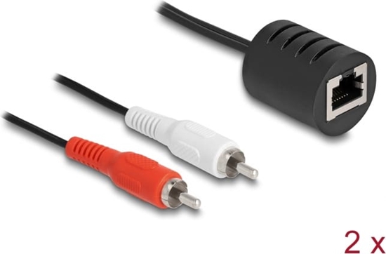 Picture of Delock Stereo Audio Extender RJ45 jack to 2 x RCA plug Cat.5 up to 50 m set 2 pieces