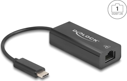 Изображение Delock USB 2.0 Type-C™ Network Adapter 10/100 Mbps LAN 1 x RJ45