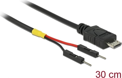 Attēls no Delock USB Power Cable Micro-B to 2 x pin header male separate power 30 cm