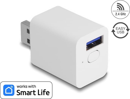 Picture of Delock WLAN EASY-USB Switch Smart Life