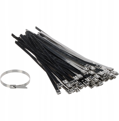 Picture of Dymo OPASKA METALOWA SSCT-250X7.9 100 SZT. DELTA Montage