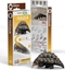 Picture of Fat Brain Toys uskowiec Eugy. Eko* Ukadanka 3D