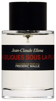 Picture of Frederic Malle FREDERIC MALLE Angeliques Sous La Pluie EDP spray 100ml