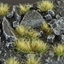 Picture of Gamers Grass Gamers Grass: Grass tufts - 5 mm - Autumn (Small)