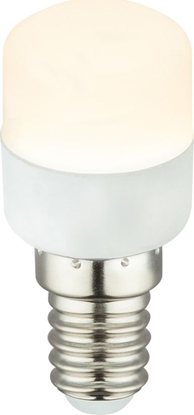Attēls no Globo Mleczna arówka E14 1,6W ciepa Globo LED 10616