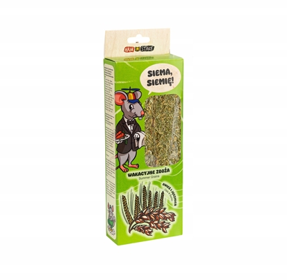 Изображение Ham-Stake HAM-STAKE HS.80G2 KOLBA WAKACYJNE ZBOA