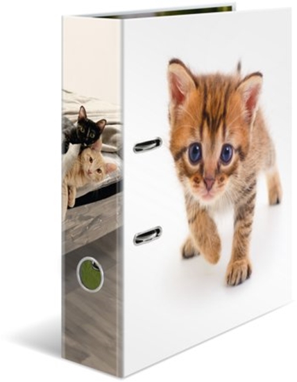 Picture of Herma Segregator Kot 7cm