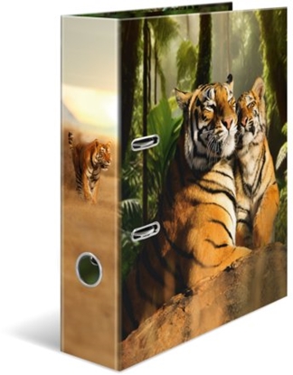 Picture of Herma Segregator Tygrys 7cm