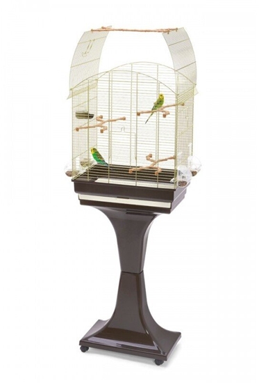 Изображение iMac Agata Delux, klatka, dla ptaków, zota/brzowa, 58x33x62,5/133 cm, na kókach