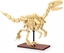 Picture of Jamara Jamara CaDA Velociraptor Bricks