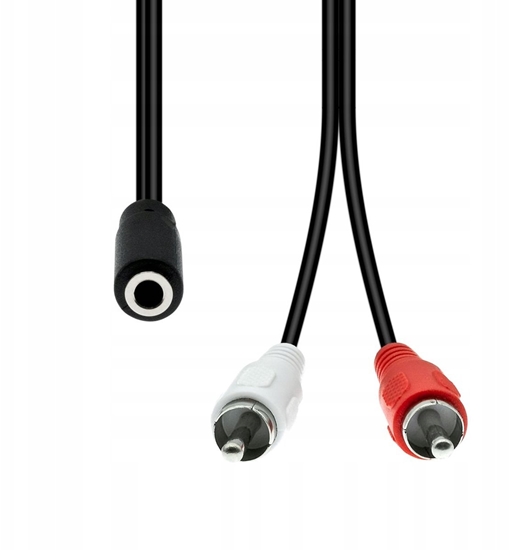 Изображение Kabel ProXtend Mini-Jack 3-Pin to 2 x RCA Cable F-M Black 20cm